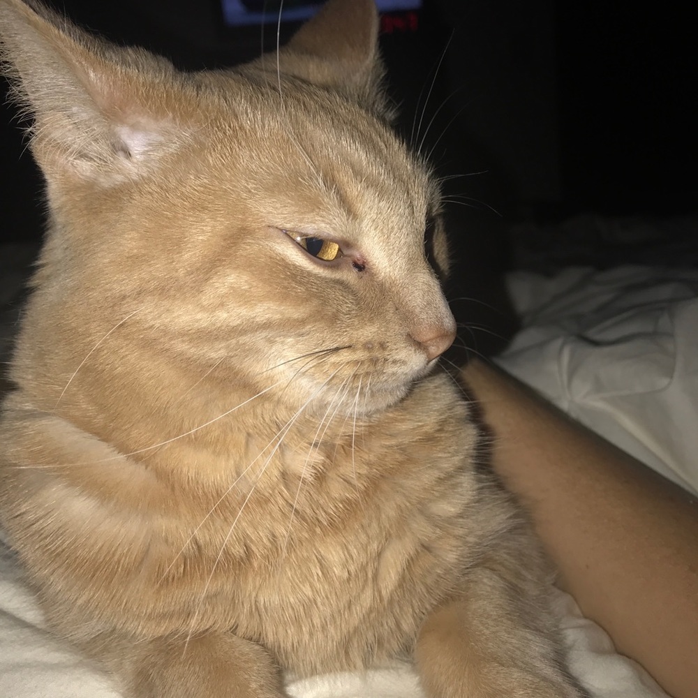 Meet your Posher, Sara